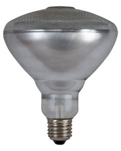 Eurolux 100W Incandescent E27 PAR38 Lamp G236