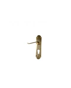ChamberValue Brass Cylinder Delray Lever Handle On Backplate V0053/C71/FH