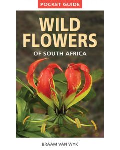 Pocket Guide Wild Flowers Of South Africa 1st Edition (Paperback) 9781775841661
