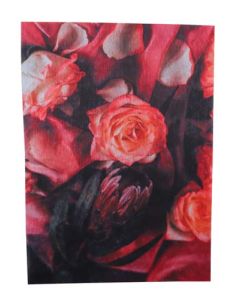 A.Shak A4 Protea & Rose Craft Tissue Paper CAMDP-A4-5